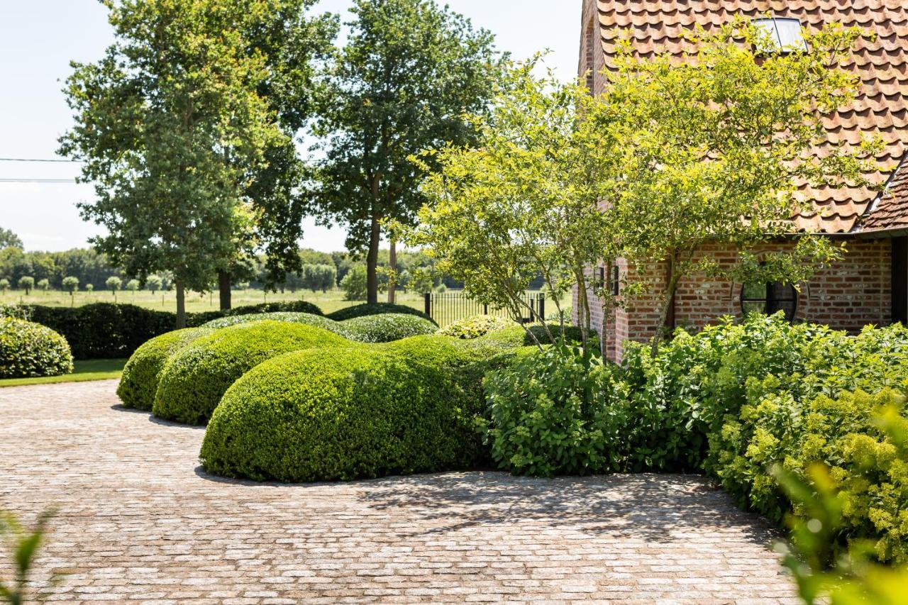 Hoeve Den Akker - Luxueuze Vakantiewoningen Met Privetuinen En Alpaca'S Nabij Brugge, Damme, Knokke, Sluis En Cadzand Екстер'єр фото