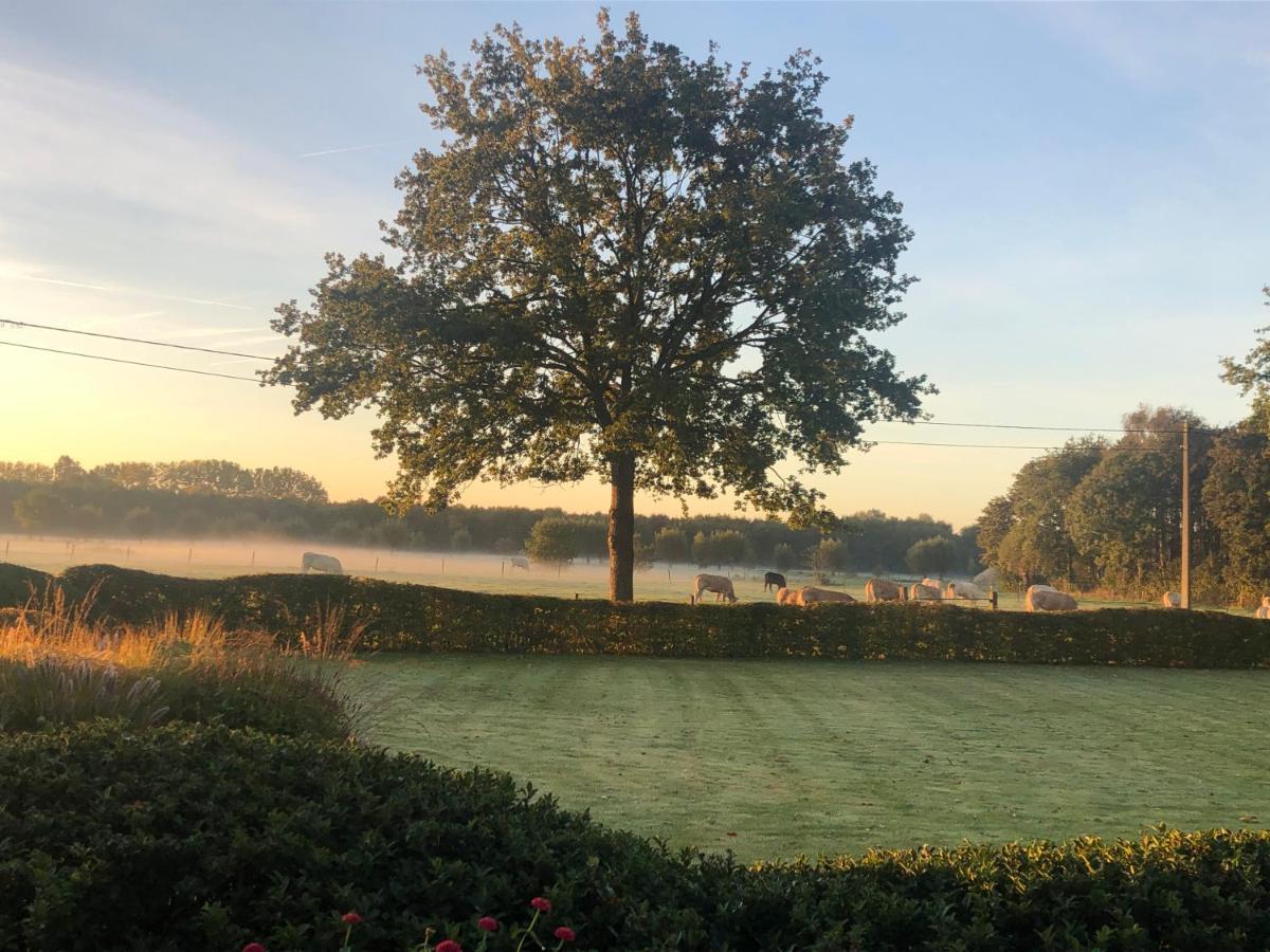 Hoeve Den Akker - Luxueuze Vakantiewoningen Met Privetuinen En Alpaca'S Nabij Brugge, Damme, Knokke, Sluis En Cadzand Екстер'єр фото