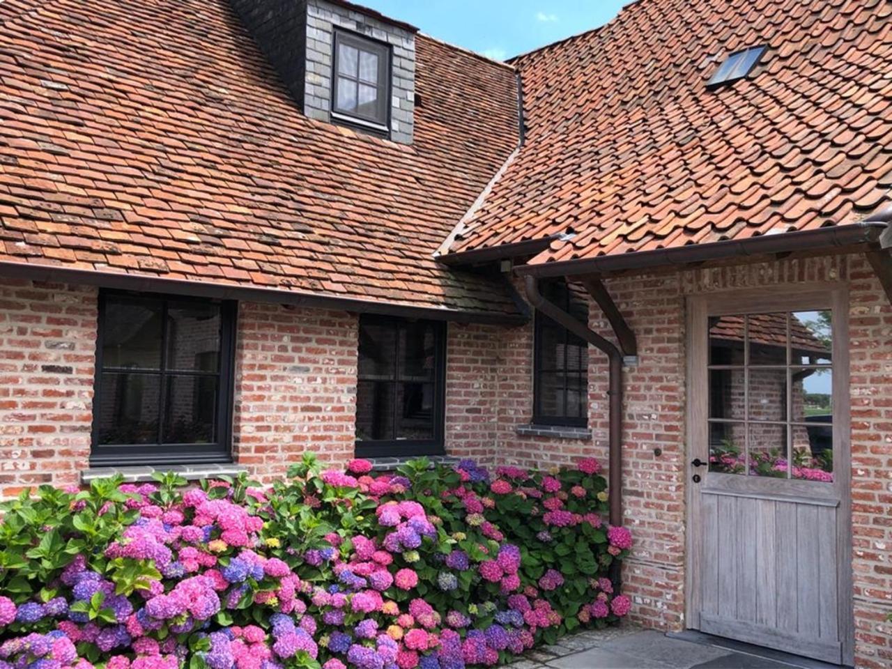Hoeve Den Akker - Luxueuze Vakantiewoningen Met Privetuinen En Alpaca'S Nabij Brugge, Damme, Knokke, Sluis En Cadzand Екстер'єр фото