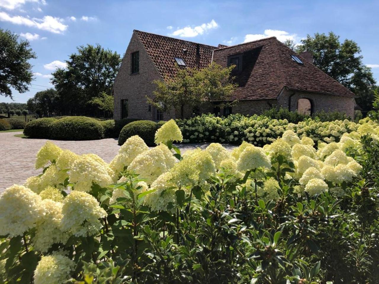 Hoeve Den Akker - Luxueuze Vakantiewoningen Met Privetuinen En Alpaca'S Nabij Brugge, Damme, Knokke, Sluis En Cadzand Екстер'єр фото