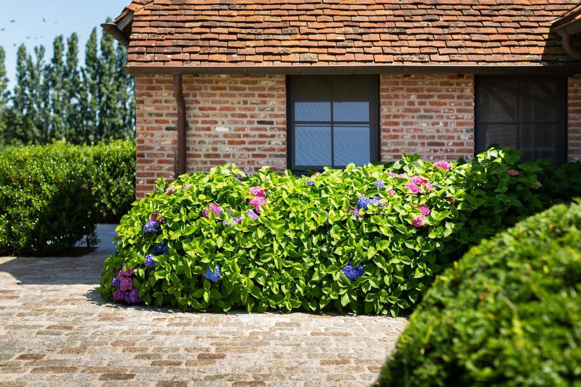 Hoeve Den Akker - Luxueuze Vakantiewoningen Met Privetuinen En Alpaca'S Nabij Brugge, Damme, Knokke, Sluis En Cadzand Екстер'єр фото