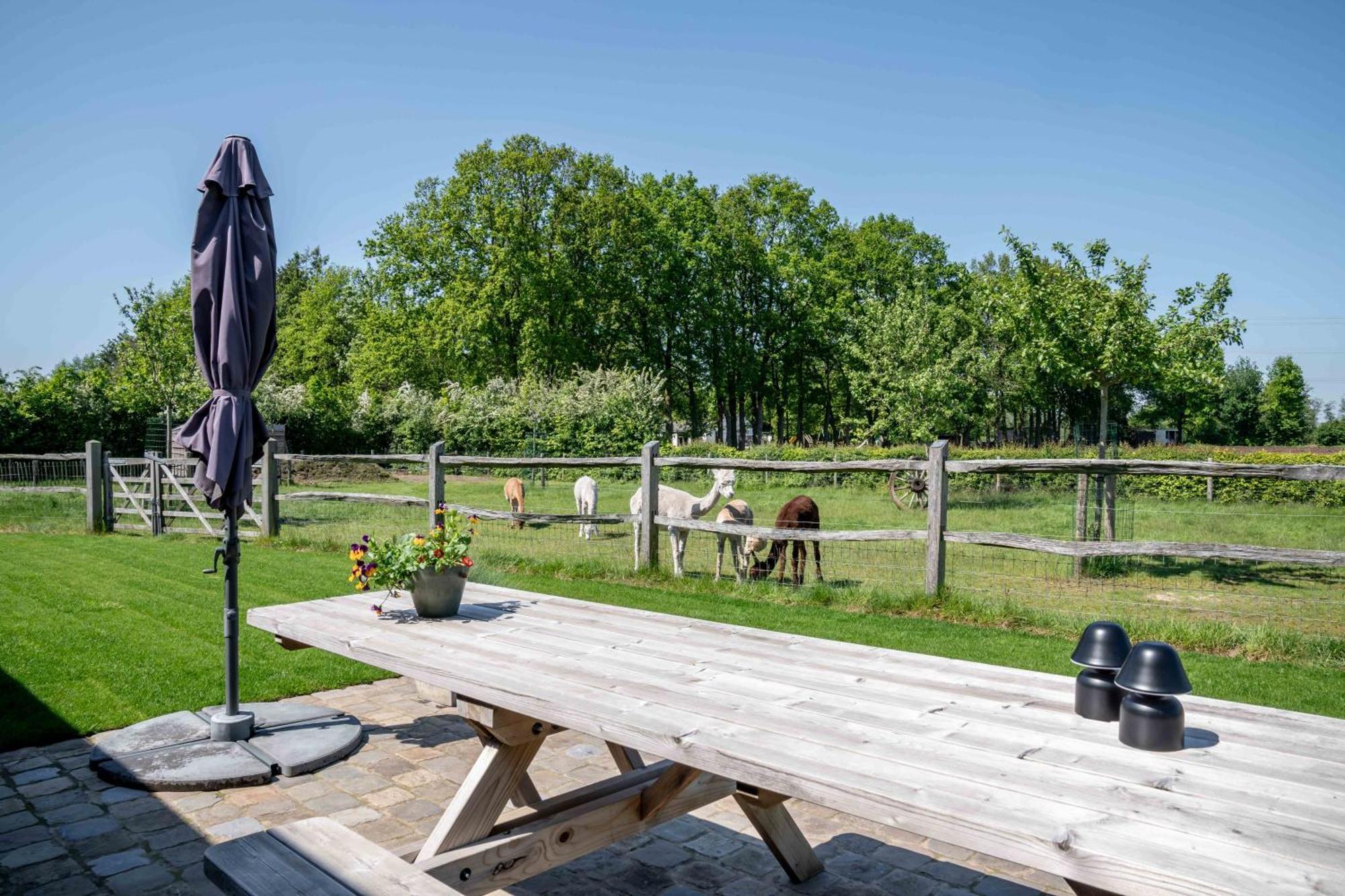 Hoeve Den Akker - Luxueuze Vakantiewoningen Met Privetuinen En Alpaca'S Nabij Brugge, Damme, Knokke, Sluis En Cadzand Екстер'єр фото