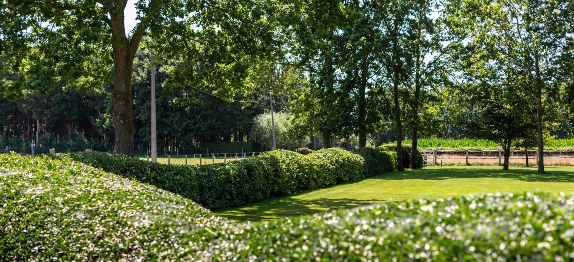 Hoeve Den Akker - Luxueuze Vakantiewoningen Met Privetuinen En Alpaca'S Nabij Brugge, Damme, Knokke, Sluis En Cadzand Екстер'єр фото
